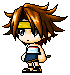 Avens