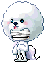 BarkBarkBark