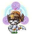 CapitolThief