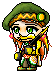 Crossandra