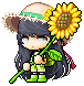 Dargle