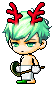 Erva