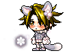 Haushinka