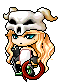 IcedCawfee