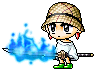LimS