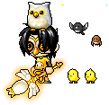 OwlBitch