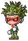 Pookai