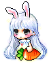 Reisen