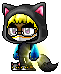Terojasken