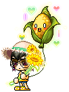 Tournesol
