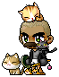 cooIcat