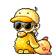ducksu