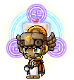 gatodebriga