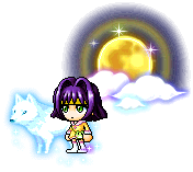 ninlaoshi