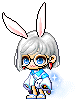 nwhiterabbit