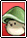 Green Mushroom Card