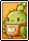 Cactus Card