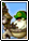 Dual Ghost Pirate Card