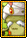 Deo Card