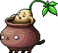 Lord Pirate's Enraged Ginseng Jar